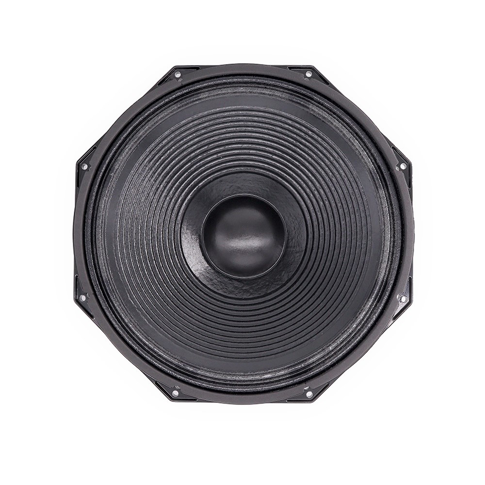 Speakers - Altoparlante Professionale da 600W con Woofer