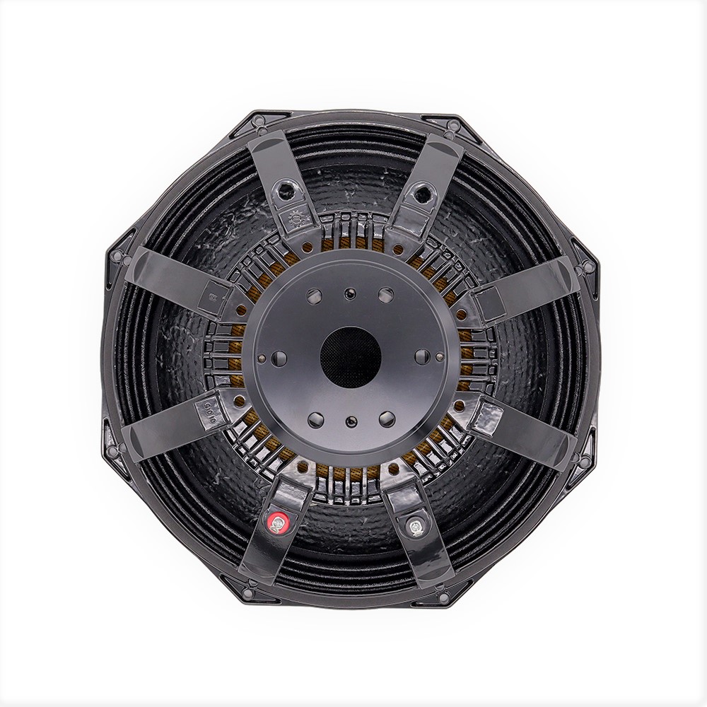Altoparlante Professionale da  - Speakers recensione e prezzo