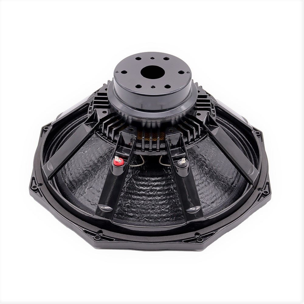 Altoparlante Professionale da  - Speakers recensione e prezzo